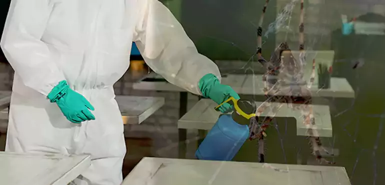 Why Buyers Still Want Homes With Pest Infestations in Yonkers, NY?